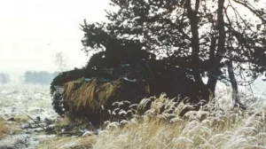 1980
